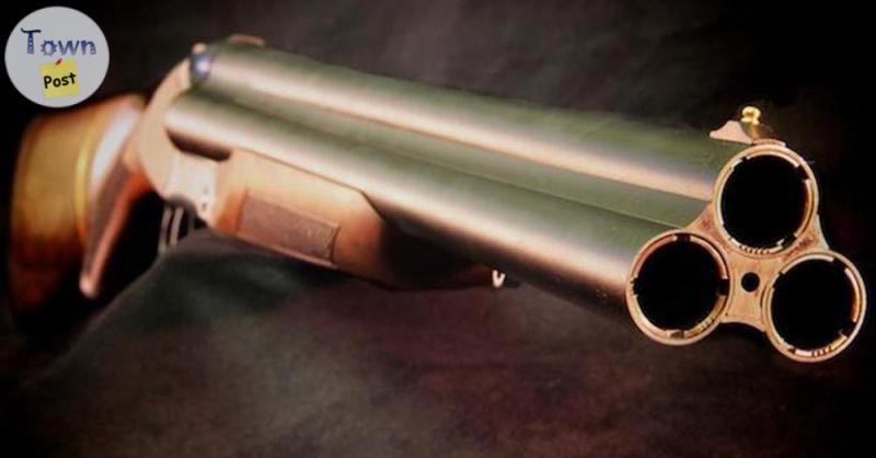 Photo of Chiappa Triple Barrel Shotgun 