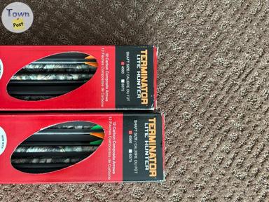 Photo of Carbon Express Terminator lite hunter arrows - 2