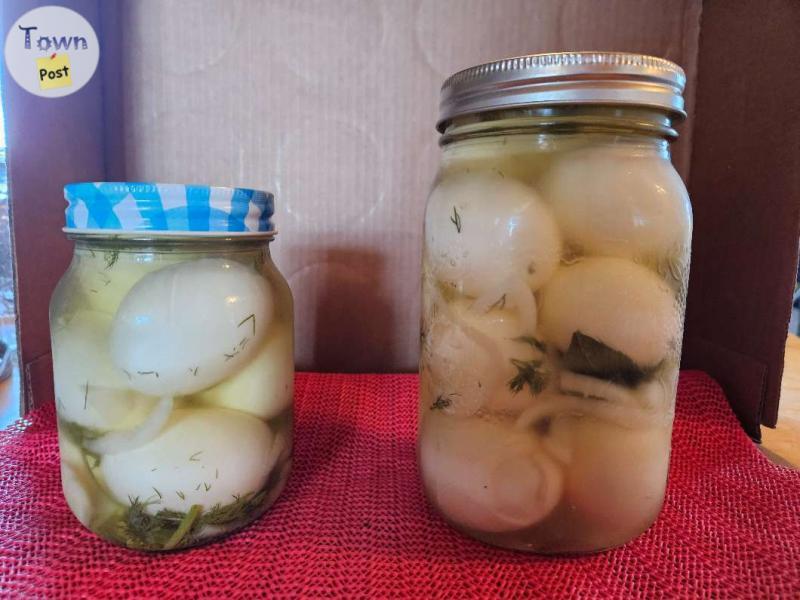 Photo of PICKLED EGGS