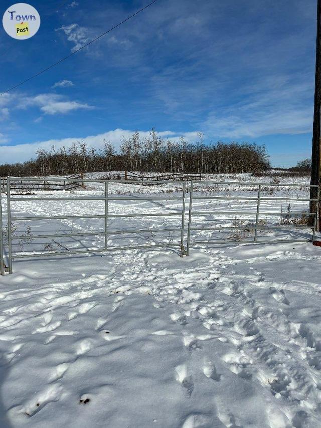 Photo of Livestock panels 