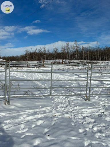 Photo of Livestock panels  - 2