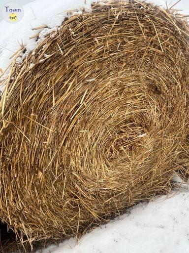 Photo of Round hay/ green feed 1600lb - 1