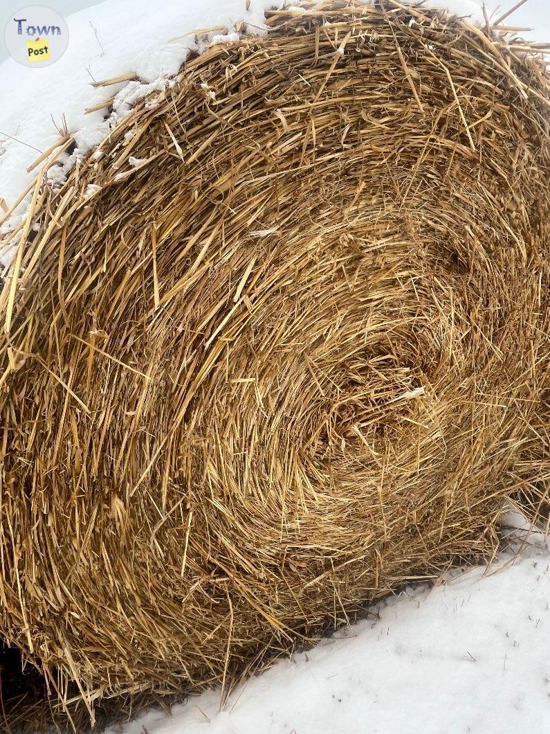 Photo of Round hay/ green feed 1600lb