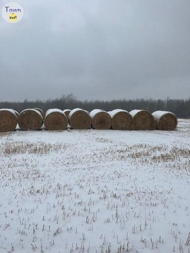 Photo of Round hay/ green feed 1600lb - 2