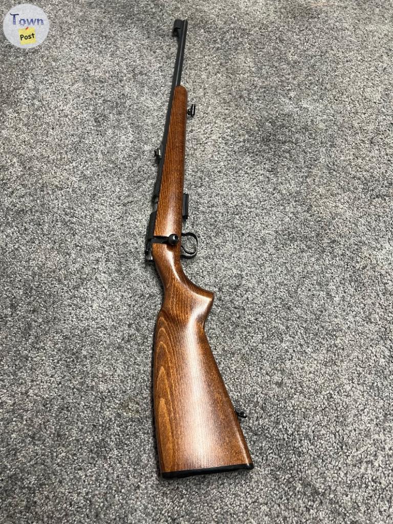 Photo of 17 HMR CZ 455