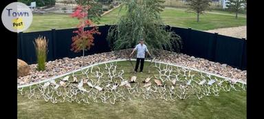 Photo of Wanted: Buying all types of SHED ANTLERS!!!! - 2