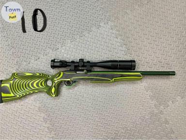 Photo of Ruger 10/22 custom  - 1