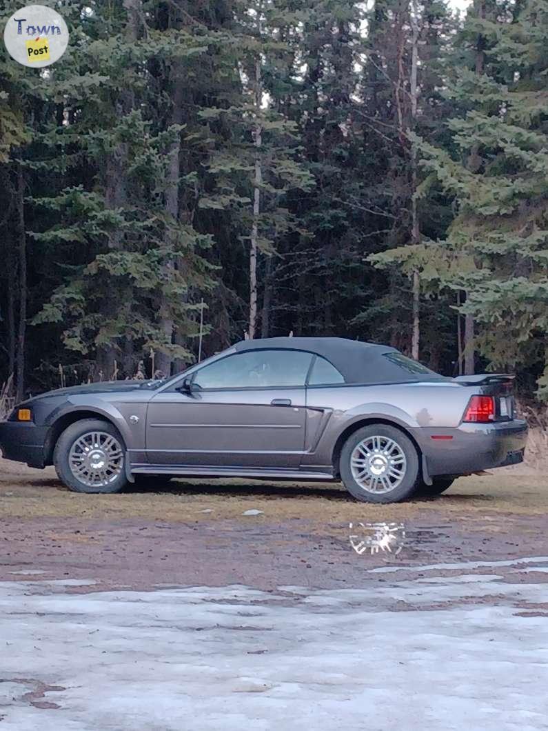 Photo of 40th anniversary convertible mustang