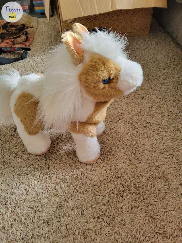 Photo of Butterscotch pony