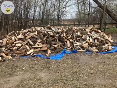 Photo of Firewood - 1