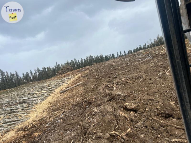 Photo of Tree harvesting for private land