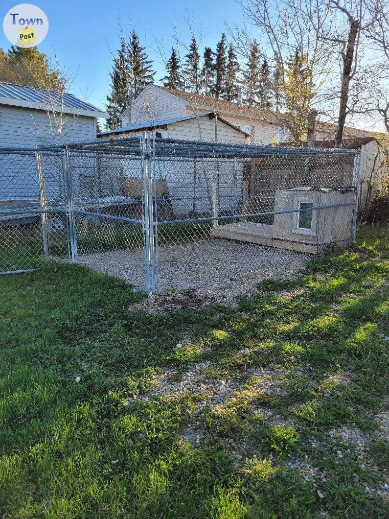 Photo of Dog Kennel 