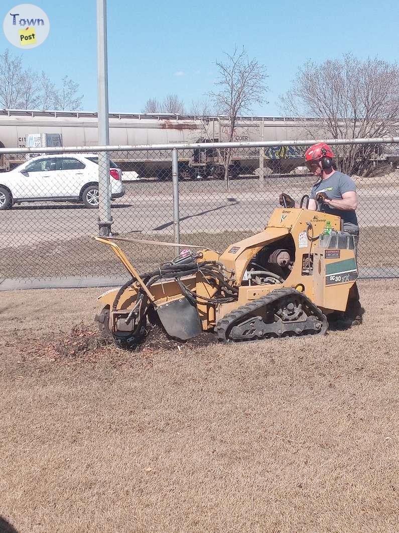 Photo of Stump grinding and tree removal 