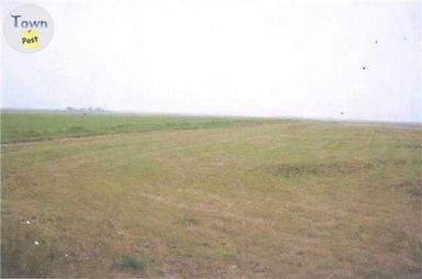 Photo of 66 acres of hay and alfalfa in Brant in Vulcan County  - 1