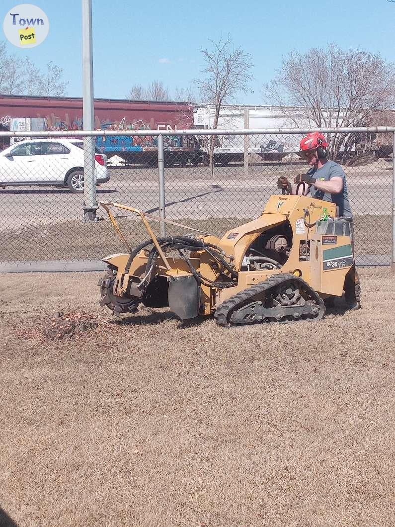 Photo of Stump grinding and tree removal 