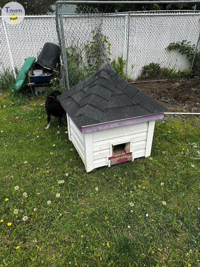 Photo of Used rabbit (or small animal)  house