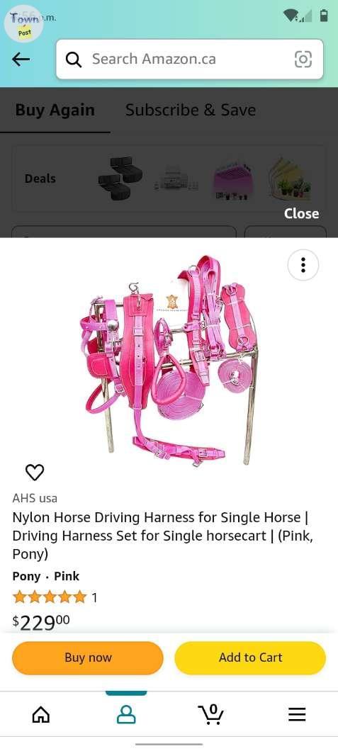 Photo of Pony harness 