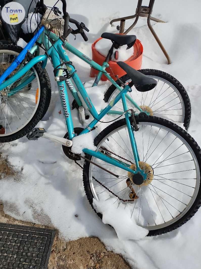 Photo of 1 Boys and 1Girls Triumph bikes 