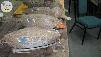 Photo of    13 DUCK  DECOYS  $4.00@ BEST OFFER CONSIDERED - 1