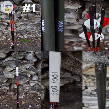 Photo of Black Eagle / Gold Tip Arrows  - 1