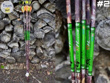 Photo of Black Eagle / Gold Tip Arrows  - 2