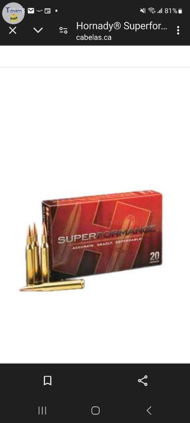 Photo of HORNADY  95 GR SST 243 CAL - 1