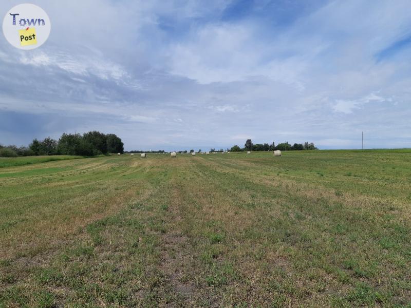 Photo of Hay for Sale