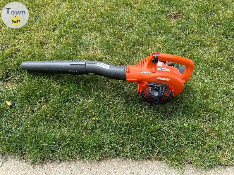 Photo of Echo ES 250 leaf blower and vaccum