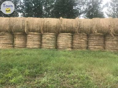 Photo of First Cut Grass Hay Round Bales For Sale - 1