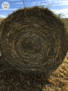 Photo of FOR SALE;  ALFALFA HAY