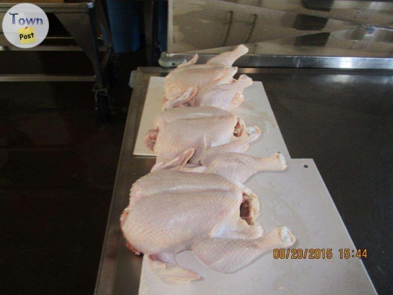 Photo of Farm Fresh Chickens For Sale