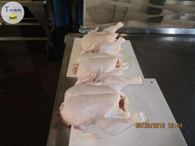 Photo of Farm Fresh Chickens For Sale