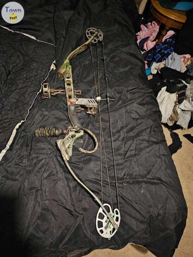 Photo of Carton compound bow - 1