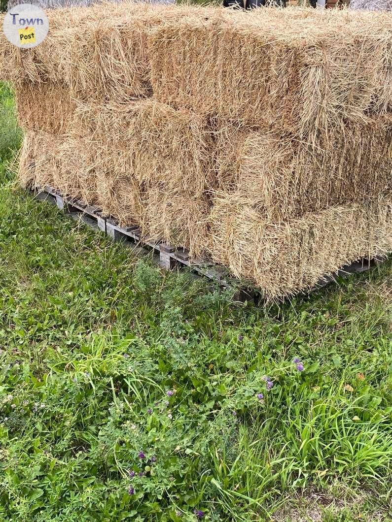 Photo of Square 2024 Hay Bales (Small Qty Pickup Available in Town of Barrhead)