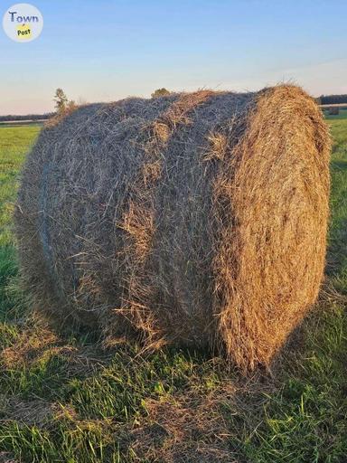 Photo of Round Mostly Grass Hay Bales - 1