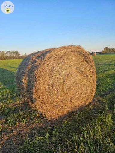 Photo of Round Mostly Grass Hay Bales - 2