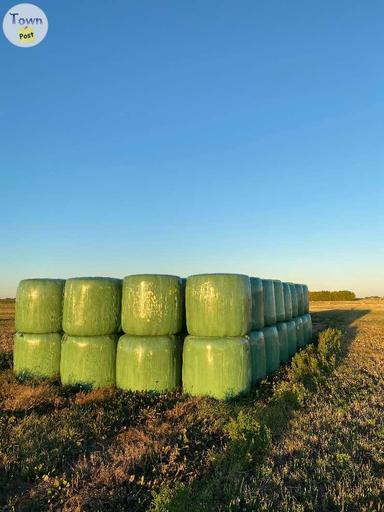 Photo of Hay For Sale - 1