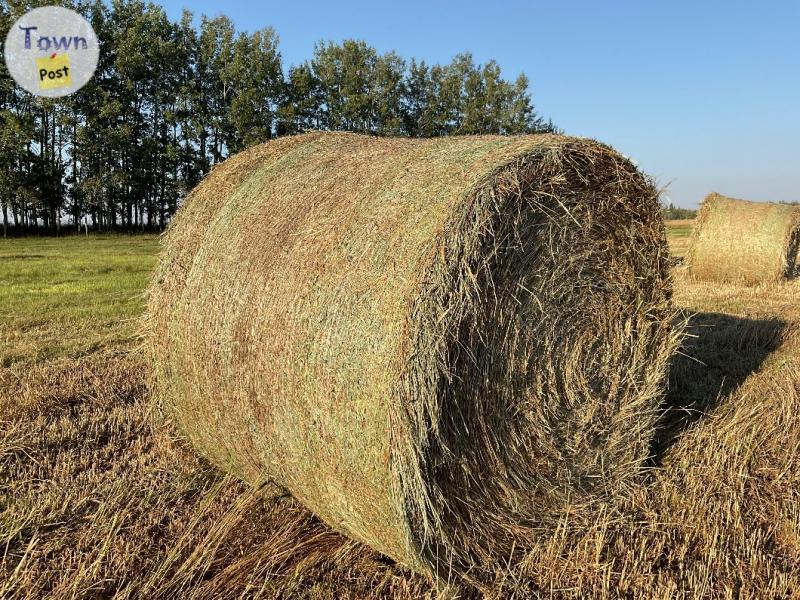 Photo of Livestock hay