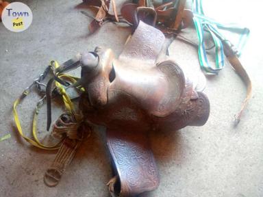 Photo of Saw buck saddle - 1