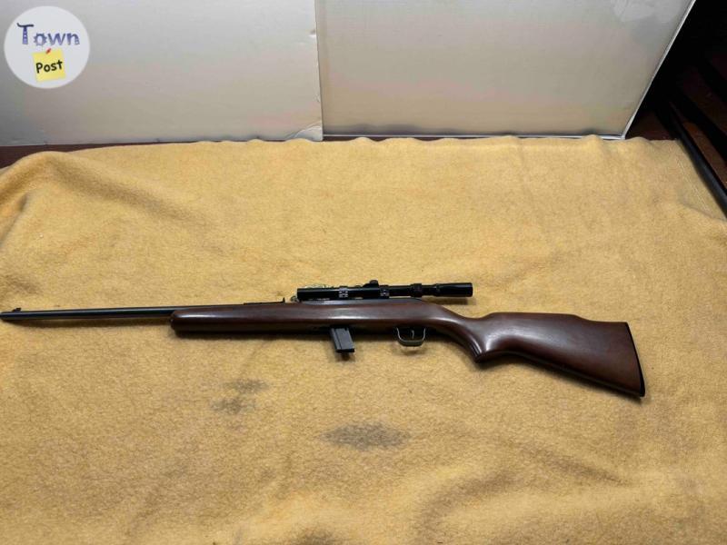 Photo of .22 semi-automatics Winchester190  and Coey 64B