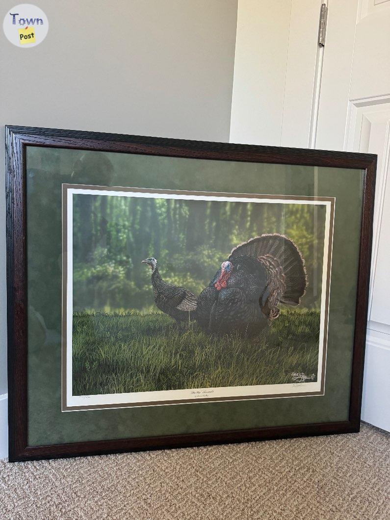 Photo of Framed Wildlife Turkey Print