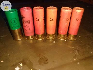 Photo of 16 gauge ammo  - 2