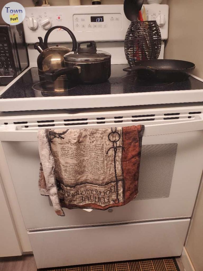 Photo of 2023 FRIDGEDAIRE ELECTRIC STOVE