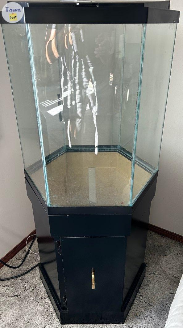 Photo of 30 GALLON HEXAGON AQUARIUM WITH STAND--Reduced Price--$450