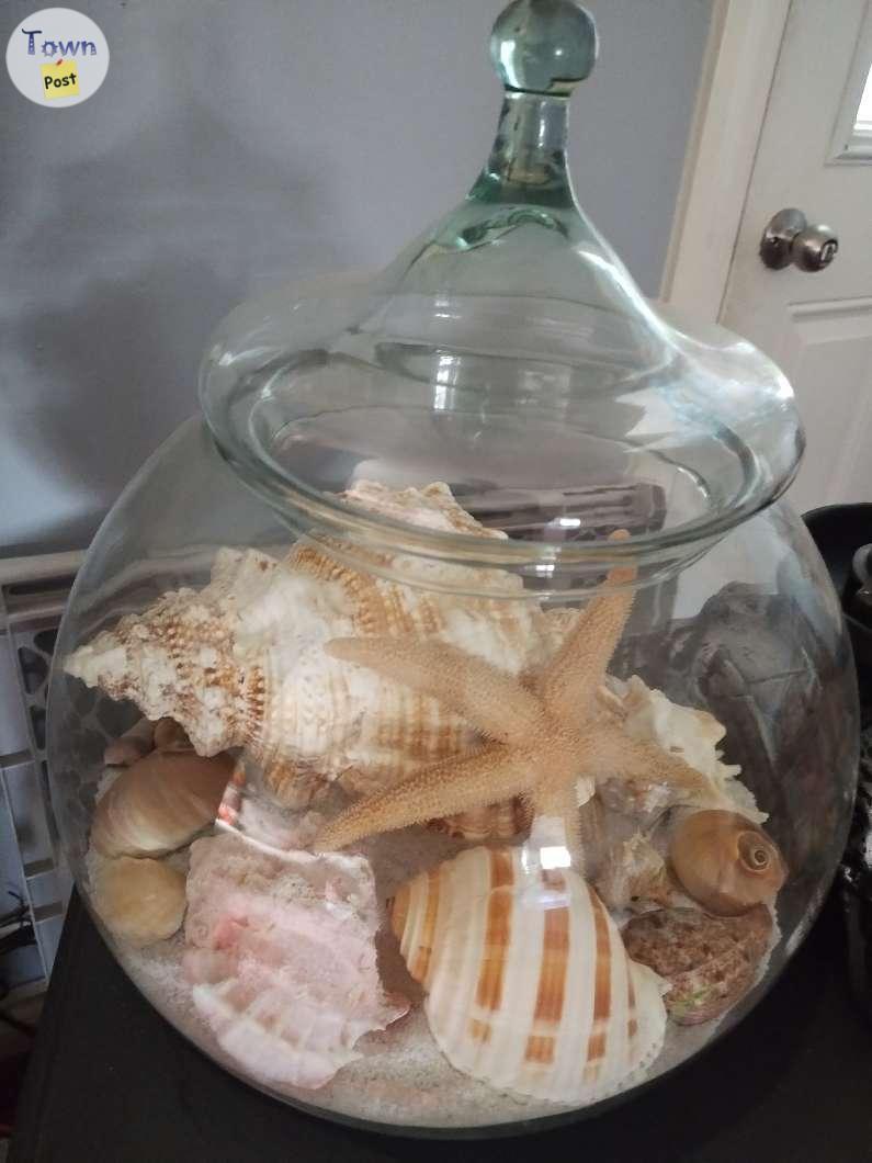 Photo of Seashell and sand decor 