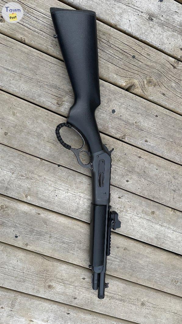 Photo of Chiappa wildlands 45/70 takedown