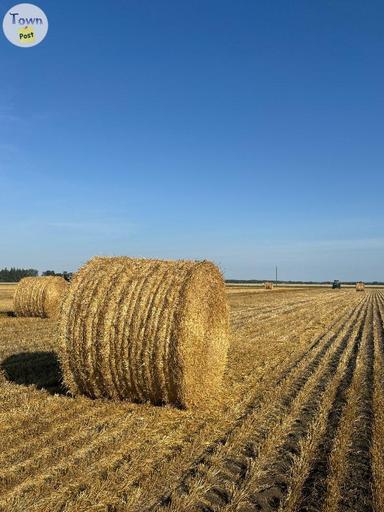 Photo of Straw bales  - 1