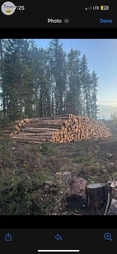 Photo of FIREWOOD ------  FREE DELIVERY --  around Stettler, and Rocky Mountain House --- Seasoned Pine and Birch - 1