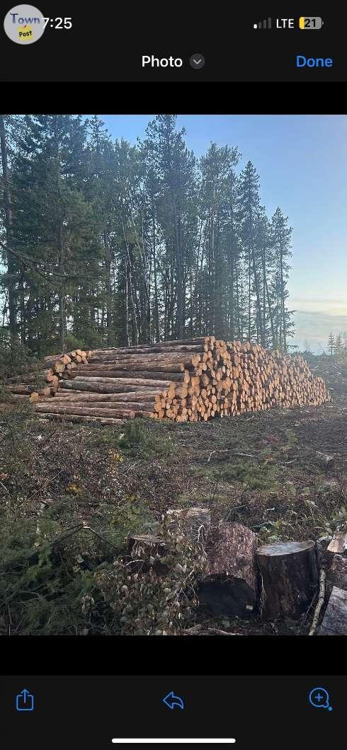 Photo of FIREWOOD ------  FREE DELIVERY --  around Stettler, and Rocky Mountain House --- Seasoned Pine and Birch