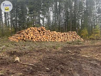 Photo of FIREWOOD ------  FREE DELIVERY --  around Stettler, and Rocky Mountain House --- Seasoned Pine and Birch - 2